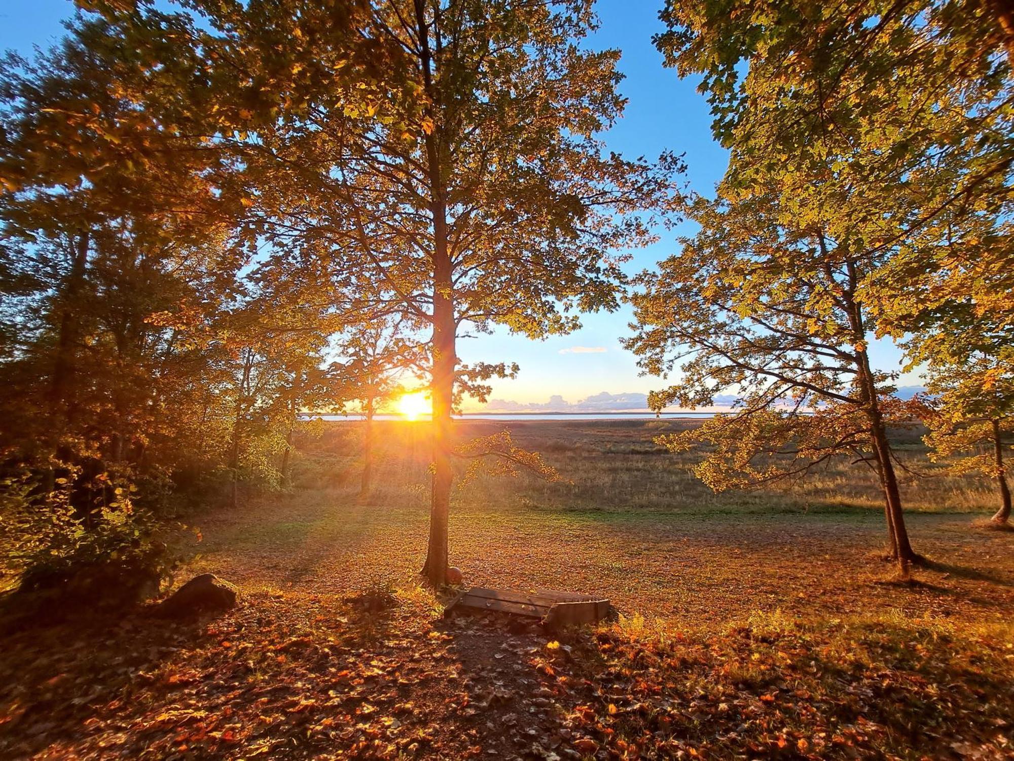Kempings Ezerpriedes Campsite Burtnieki (Burtnieki)