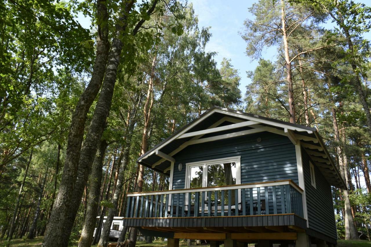 Kempings Ezerpriedes Burtnieki (Burtnieki)