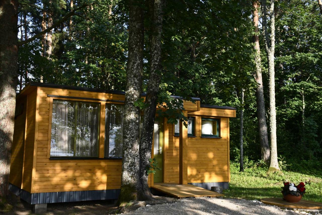 Kempings Ezerpriedes Burtnieki (Burtnieki)