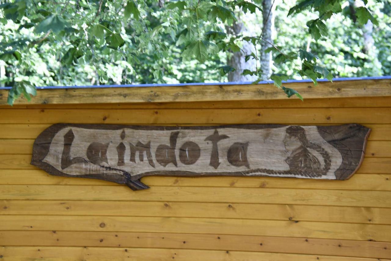 Campsite Kempings Ezerpriedes Burtnieki (Burtnieki)