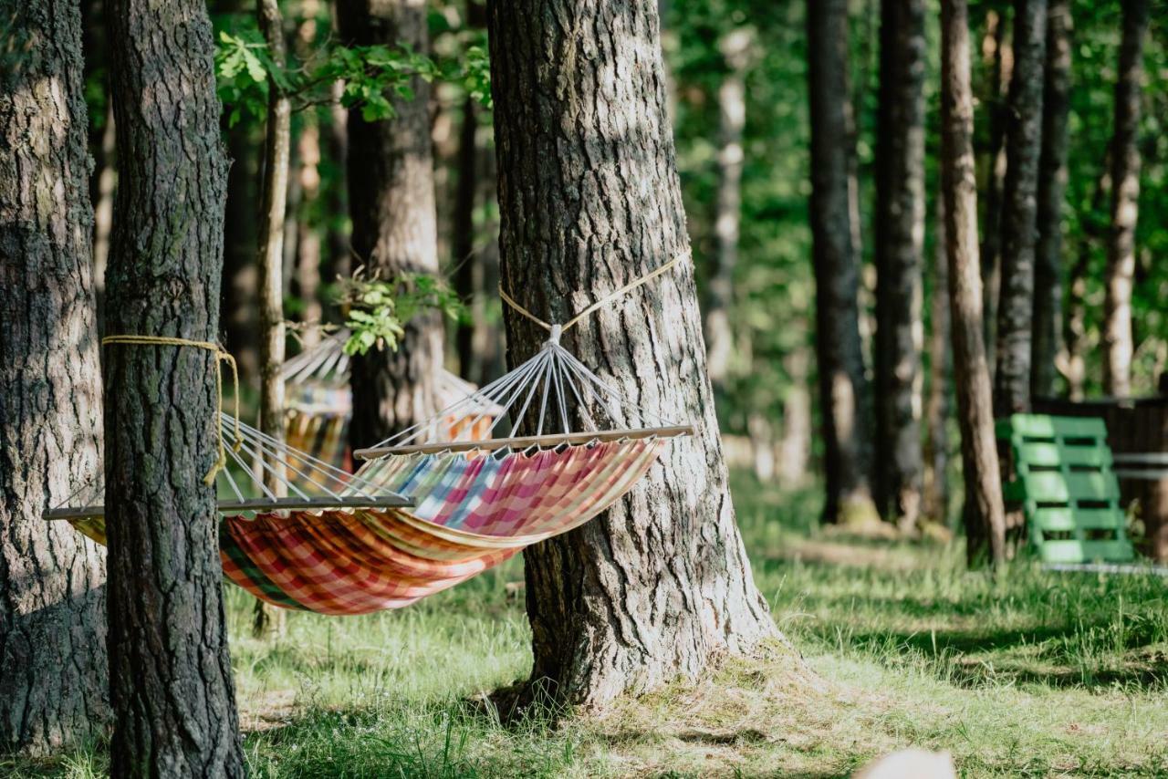 Campsite Kempings Ezerpriedes