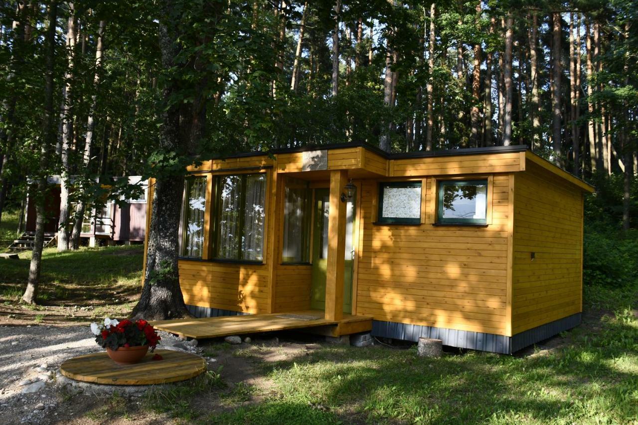 Campsite Kempings Ezerpriedes Burtnieki (Burtnieki)