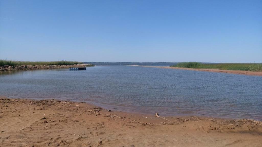 Kempings Ezerpriedes Campsite Burtnieki (Burtnieki)